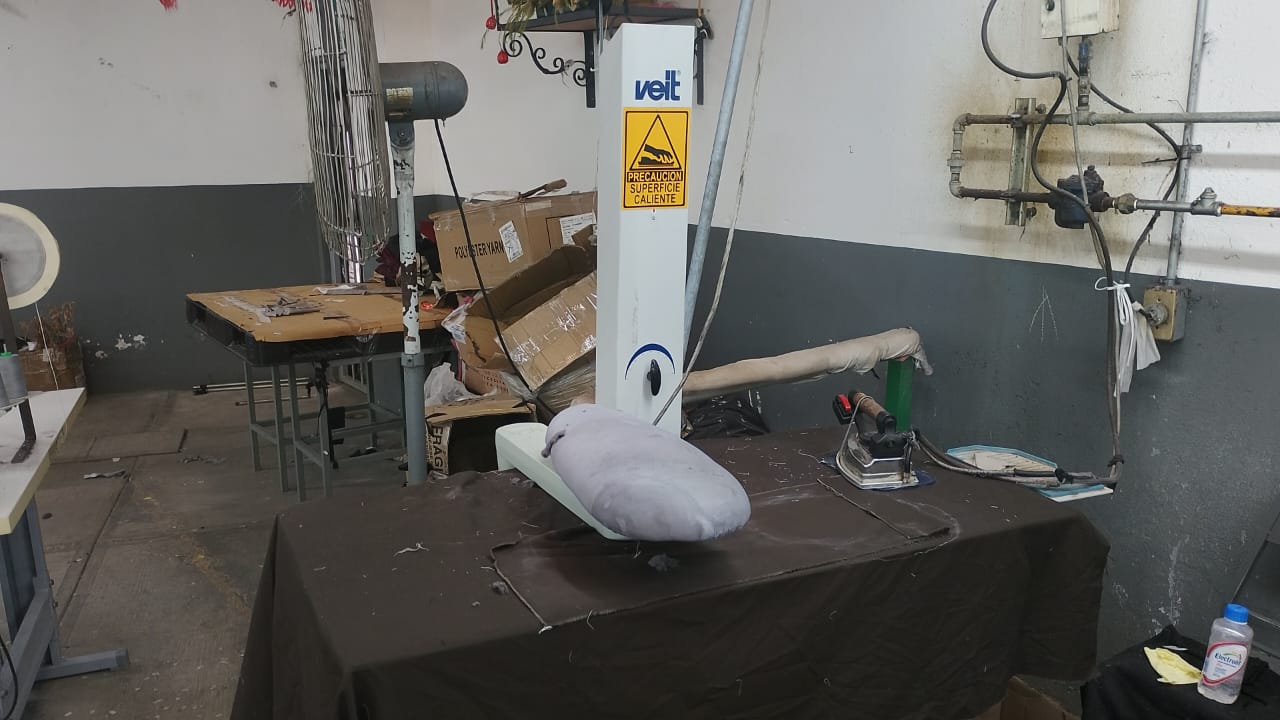 MODULO DE PLANCHA